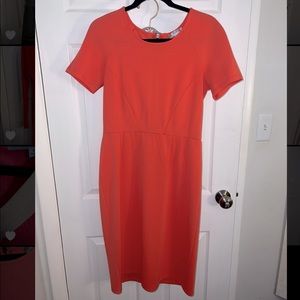 DownEast Coral Knee Length Dress. Size Medium
